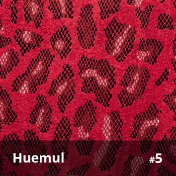 Huemul 5